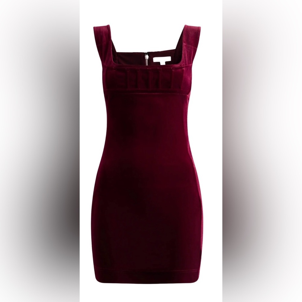 Miaou Vivi dress in maroon new with tags!